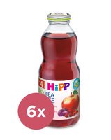 6x HiPP BIO Šípkový čaj so šťavou z červených plodov 500 ml