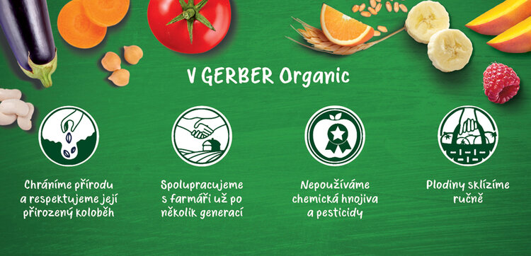 GERBER Organic chrumky s mrkvou a pomarančom 35 g​